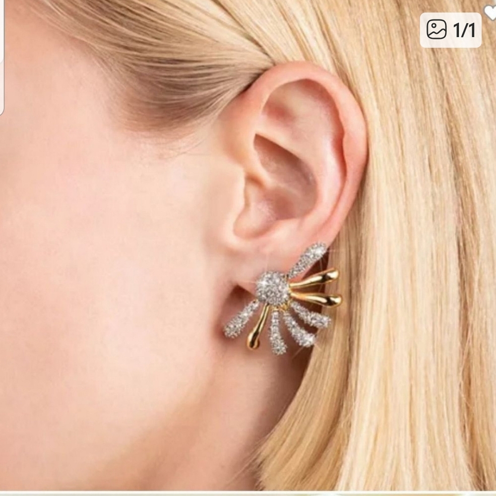 Alexis Bittar Gold and Silver Earrings